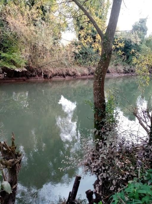 Vila Le Mangoustan Kreol Opale Attin Exteriér fotografie